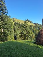 247 Fahrt auf die Rigi 