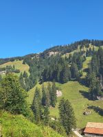 248 Fahrt auf die Rigi 