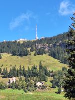 252 Fahrt auf die Rigi 