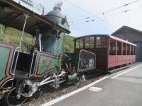 256 Auf der Rigi