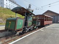 263 Auf der Rigi