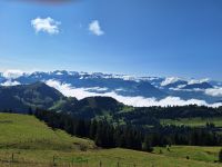 264 Auf der Rigi
