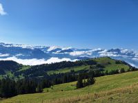 265 Auf der Rigi
