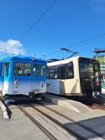 275 Auf der Rigi - Triebwagen verschiedener Generationen treffen sich