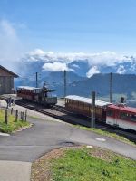 284 Auf der Rigi - die Züge