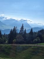 293 Talfahrt von der Rigi -