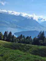 294 Talfahrt von der Rigi -