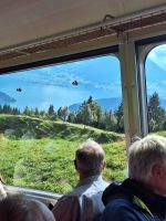 295 Talfahrt von der Rigi -