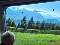 296 Talfahrt von der Rigi -