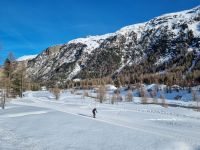 Fahrt mit dem Bernina-Express 
