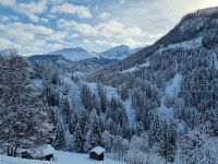 Fahrt mit dem Arosa-Express 