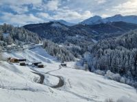 Fahrt mit dem Arosa-Express 