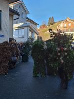 057 Urnäsch Silvester-Chläuse - die Wüsten