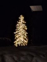 270 Weihnachtsbaum vorm Hotel 