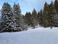 296 Schwägalp - Spaziergang auf dem Laternliweg