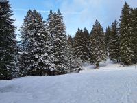 297 Schwägalp - Spaziergang auf dem Laternliweg