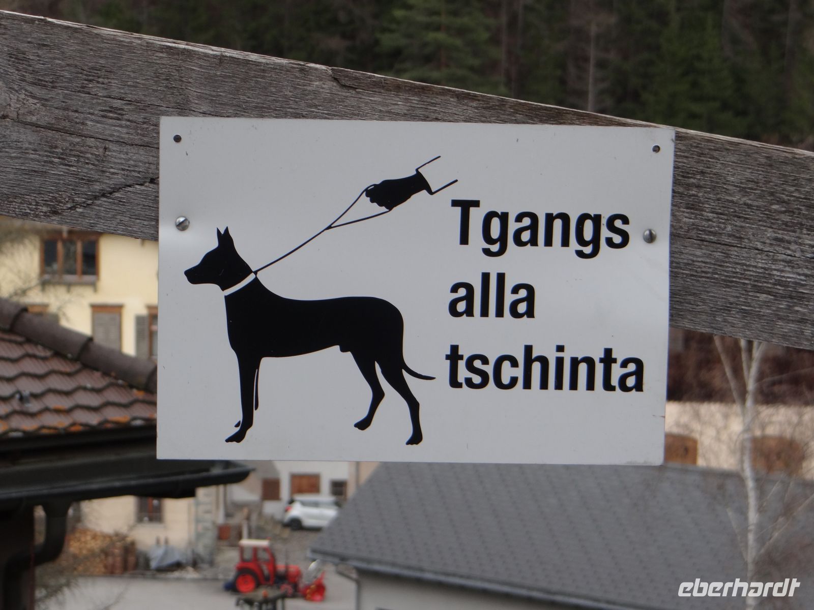 Tiefencastel, zum Glück hilft die Zeichnung beim Verstehen - „Hunde an die Leine“.