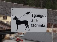 Tiefencastel, zum Glück hilft die Zeichnung beim Verstehen - „Hunde an die Leine“.