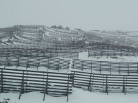 Glacier Express, Lawinenverbauung auf dem Weg nach Nätschen