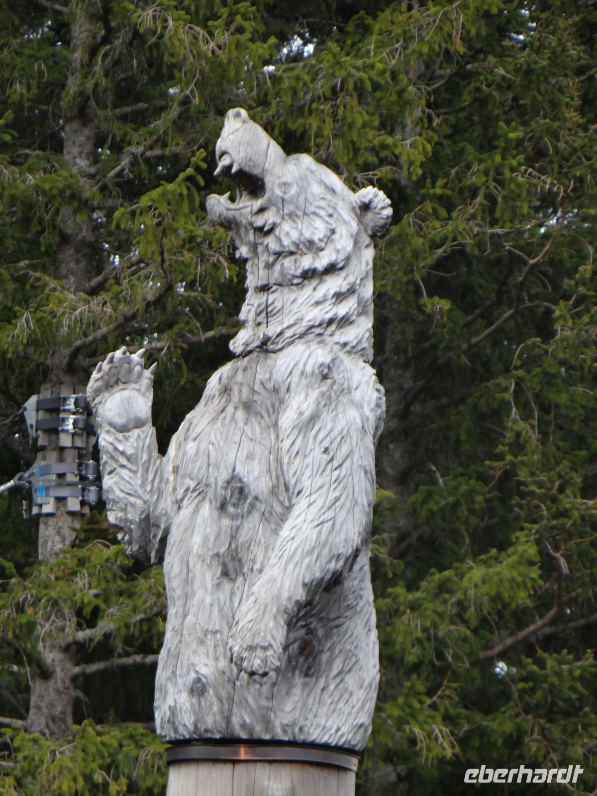 Pilatus, auf der Zwischenstation lacht sich der Bär einen Bären.