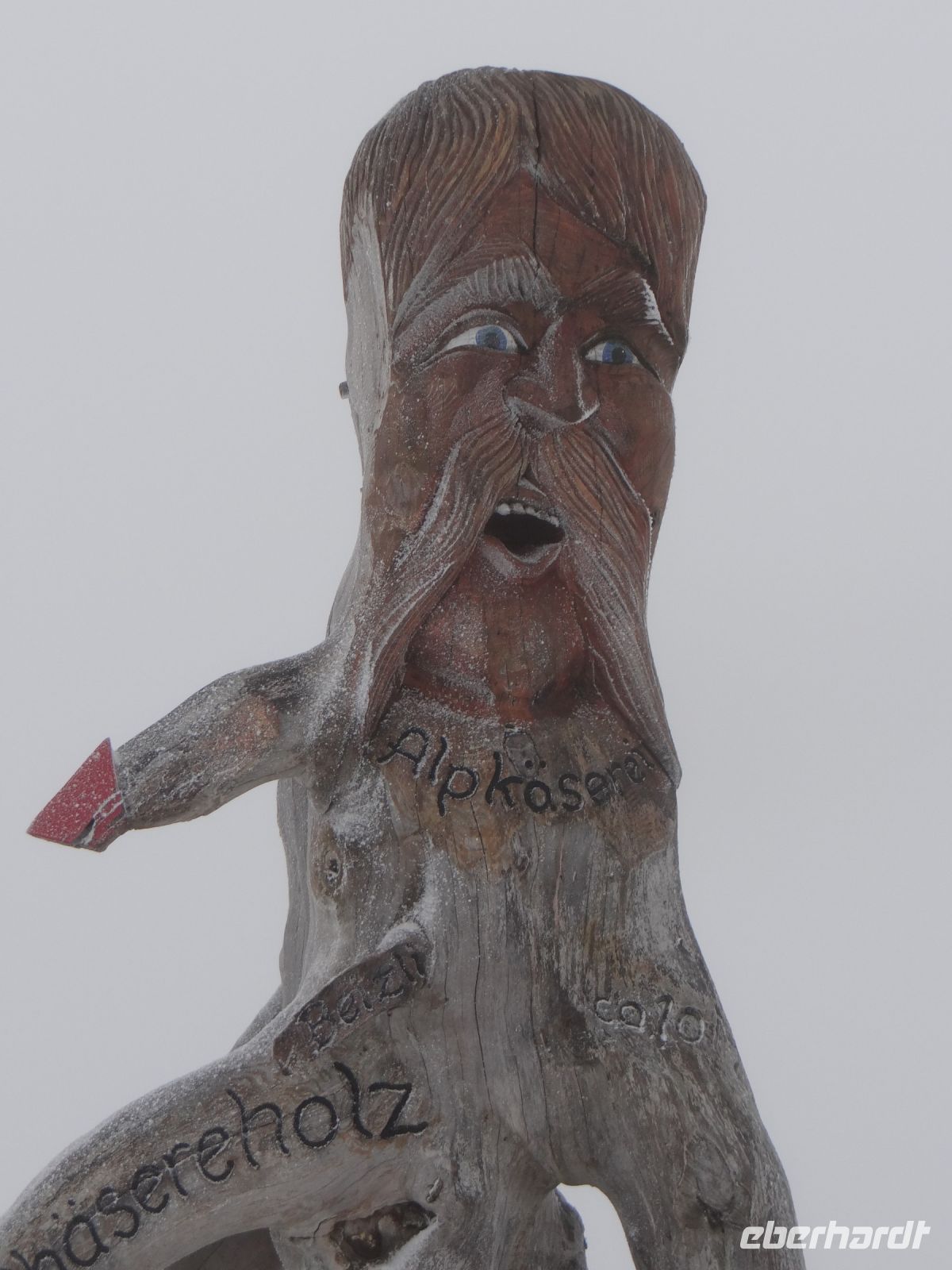 Rigi Kulm, dieser Geselle hält es hier oben gut aus. 