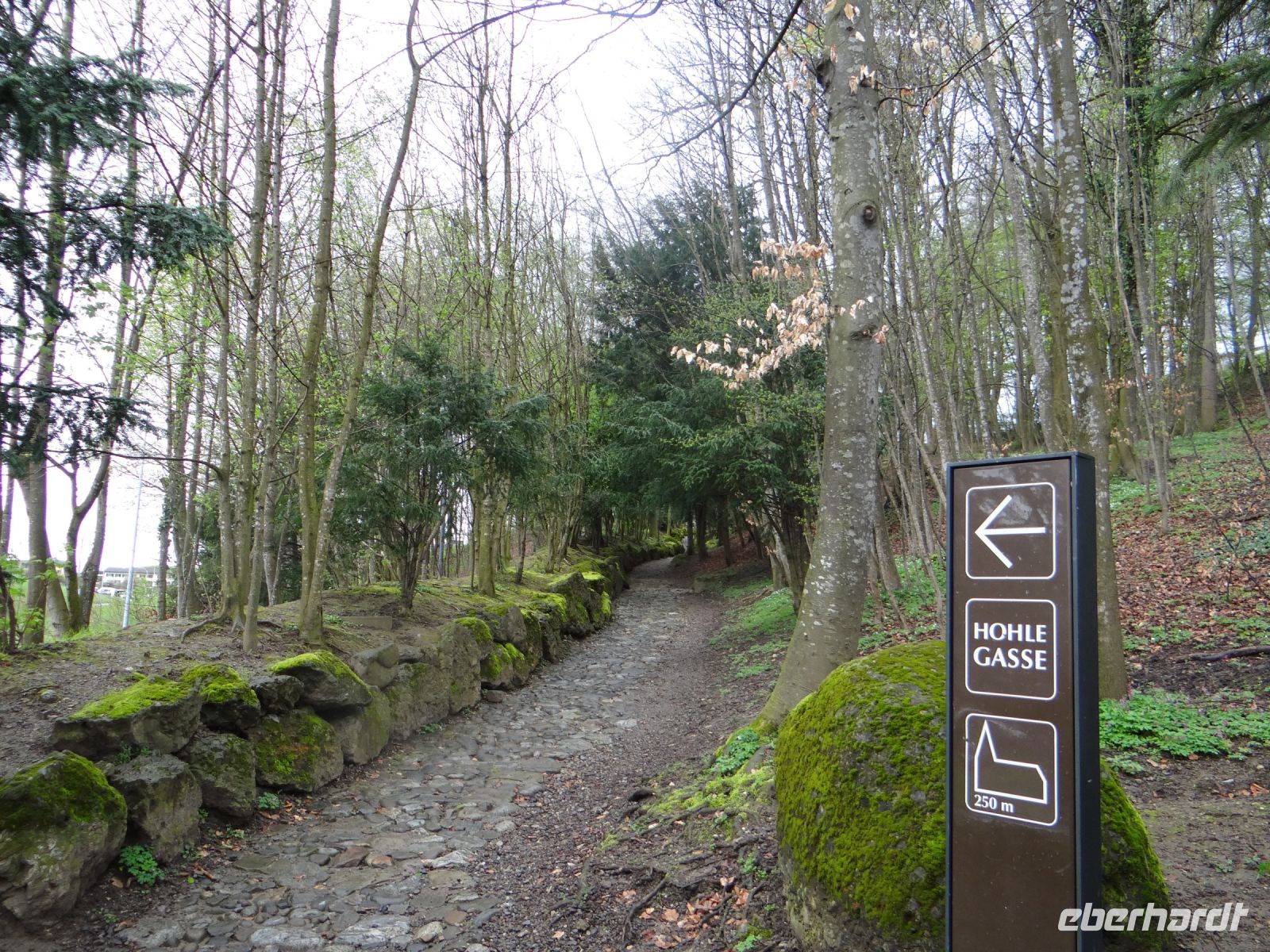 Küssnacht, „Durch diese hohle Gasse muss er kommen.“, nämlich Landvogt Gessler, den Wilhelm Tell hier zur Strecke bringt. 