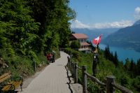 Die schweizer Fahne sieht man überall