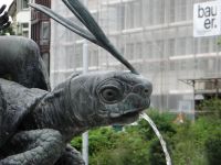 St. Gallen, die Schildkröte sieht aus wie echt. 