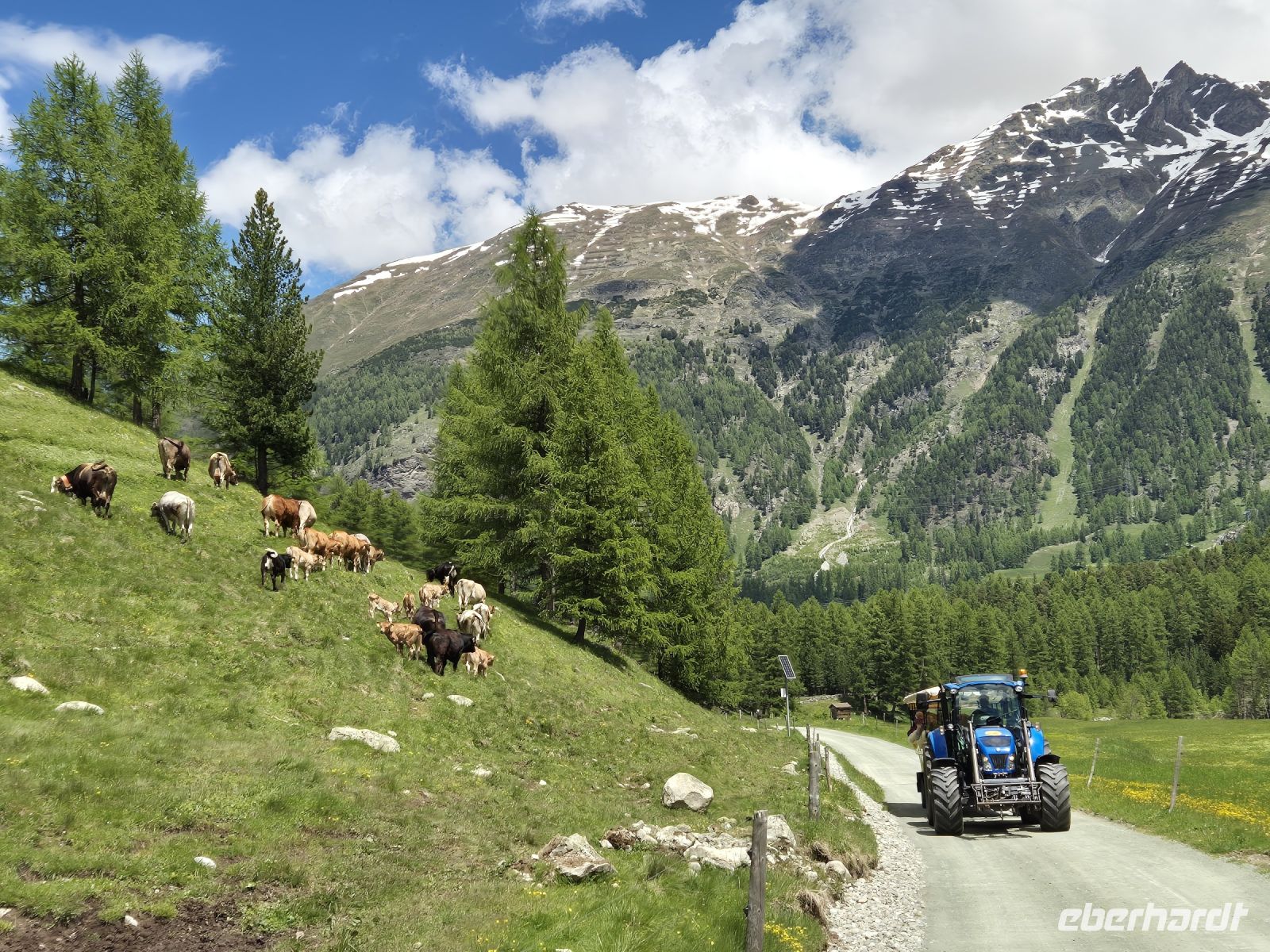 Tag 2 - Val Roseg - Eindrücke 1