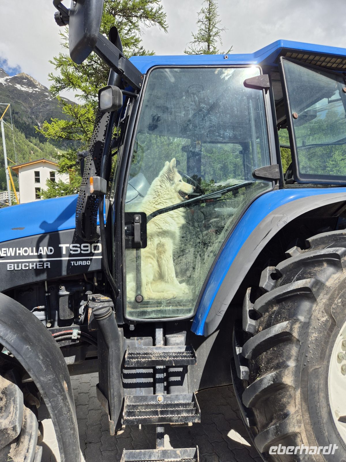 Tag 2 - Val Roseg - Traktor-Hund