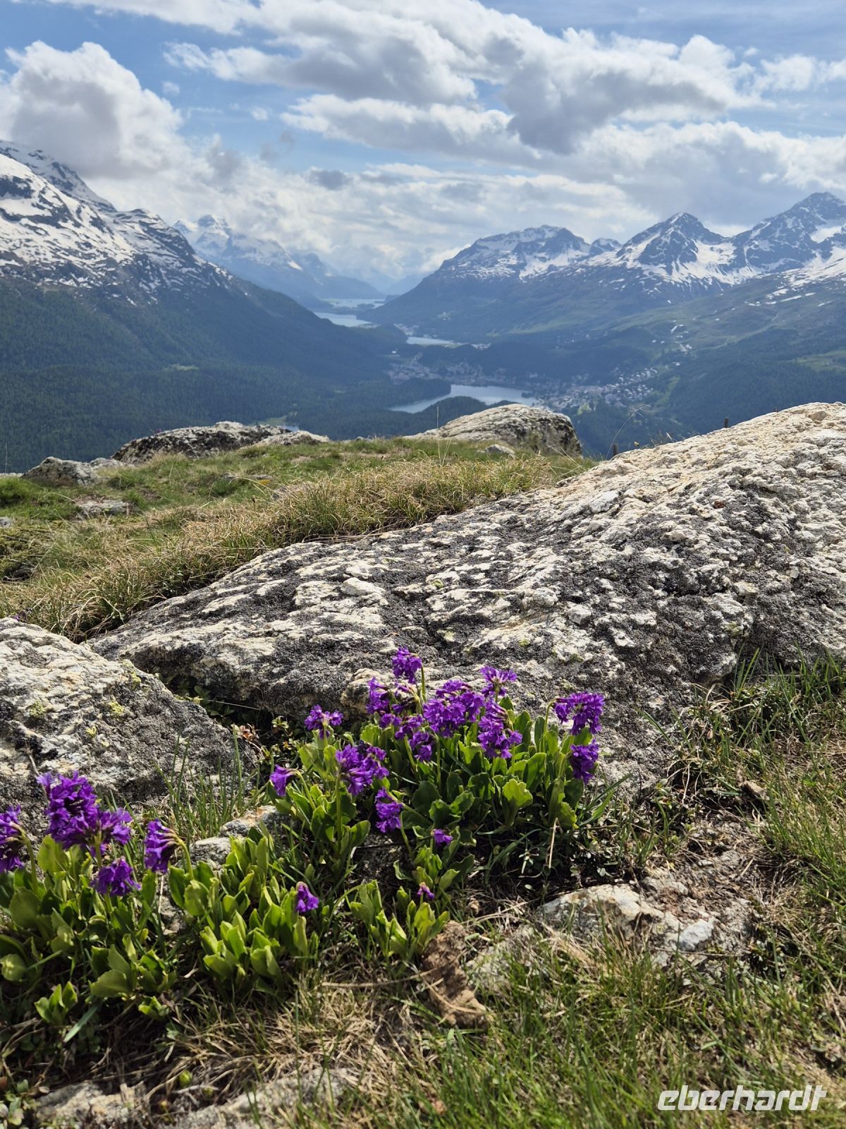 Tag 3 - Engadiner Seenplatte von Muottas Muragl