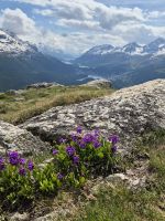 Tag 3 - Engadiner Seenplatte von Muottas Muragl