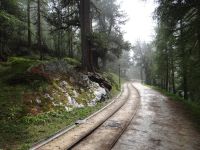 Von einer Zwischenstation zum Hotel Riffelalp fährt in der Saison ein Bähnchen – mitten durch den Wald.