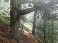 Abstieg von der Riffelalp nach Zermatt.