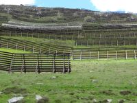 Die Lawinenverbauungen scheinen im Sommer über die grüne Wiese zu tänzeln.