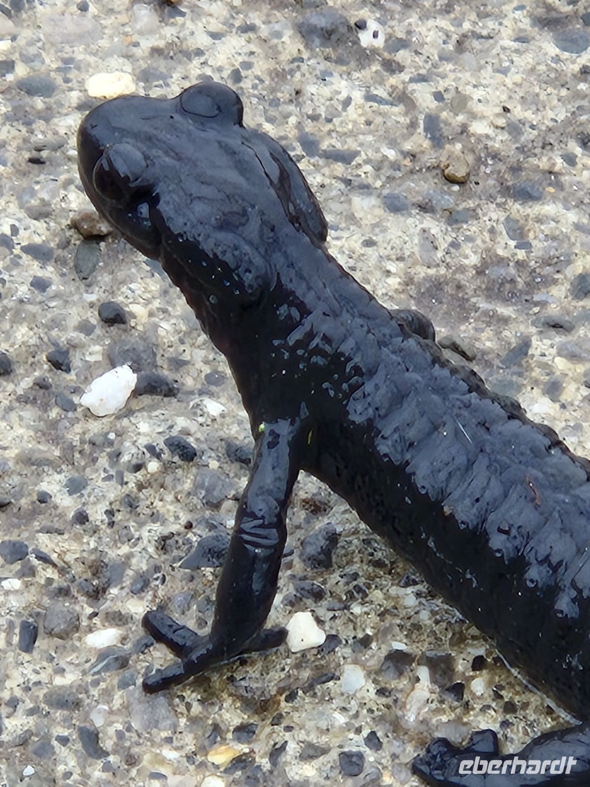 Tag 7 - Aufstehen Morgenstimmung 3