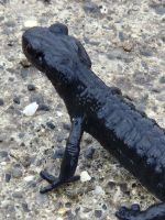 Tag 7 - Aufstehen Morgenstimmung 3