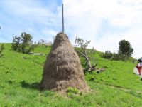 121 Auf dem Stanserhorn