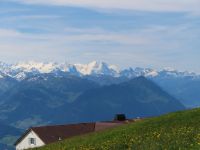 162 Auf der Rigi - Blick in die Berner Alpen