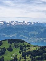 174 Auf der Rigi - Berner Alpen