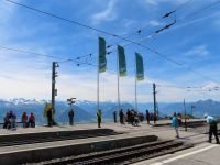 183 Auf der Rigi - 