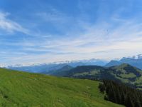 186 Auf der Rigi