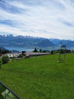 192 Fahrt mit der  Rigi-Bahn