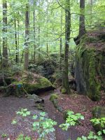 283 Besuch des Naturparkes Blausee - Märchenwald