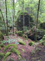 284 Besuch des Naturparkes Blausee - Märchenwald