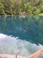 307 Kahnfahrt auf dem Blausee