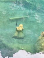 308 Kahnfahrt auf dem Blausee - das Mädchen vom Blausee