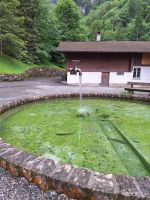 321 Blausee - Forellenzucht -Brunnen mit schwebendem Wasserhahn