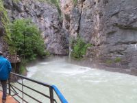 338 Aareschlucht