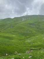 Da ganz rauf wollen wir!